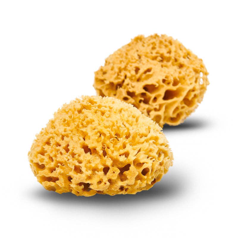 Natural Sea Sponge - Plastic Free Organic Sea Sponge