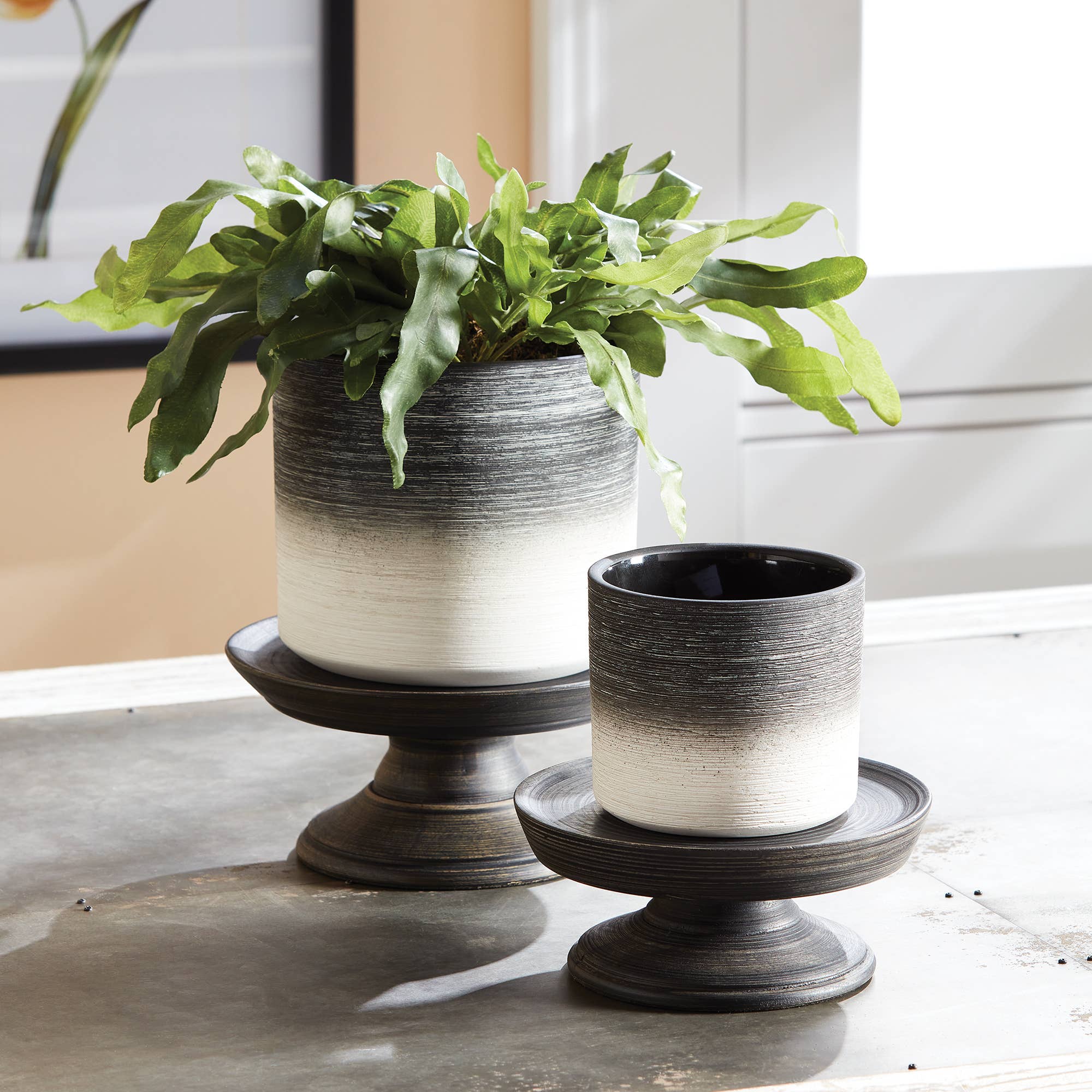 Darby Riser Medium, Black