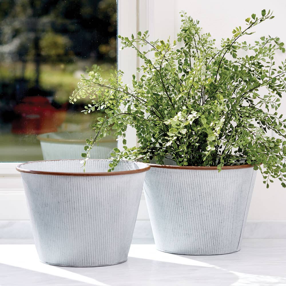 Maidenhair Fern Drop-In 23"