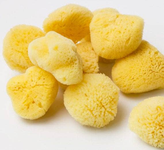 Natural Sea Sponge - Plastic Free Organic Sea Sponge