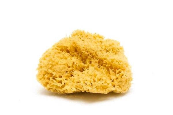 Natural Sea Sponge - Plastic Free Organic Sea Sponge
